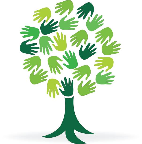 ilustrações de stock, clip art, desenhos animados e ícones de vector tree hands image design - community outreach tree education people