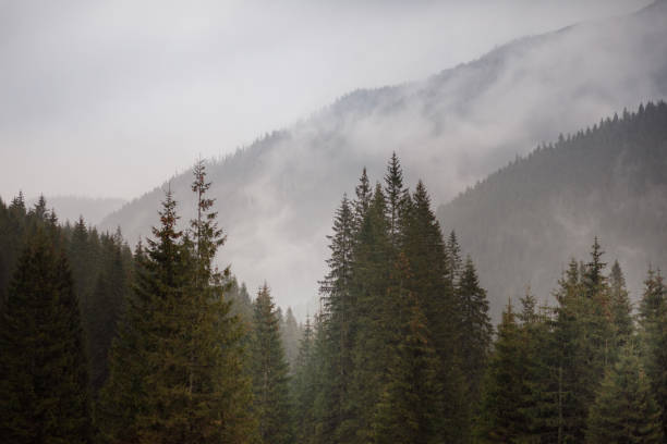 istock Cloudy morning in the mountains 691269124