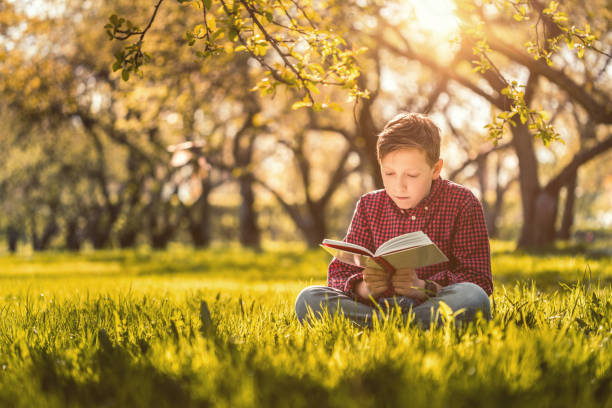 istock Cute boy reading a book sitting in the park at sunset 691272852
