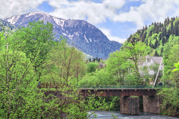 istock Spring North Caucasus landscape with mountain river and bridge 691277066