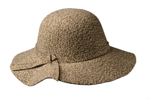 istock fedora hat. hat isolated on white background . brown hat 691277516