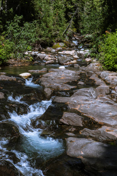 istock Mount Rainier National Park 691277624
