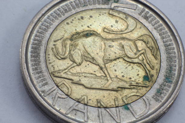 istock South Africa coin macro 691283396