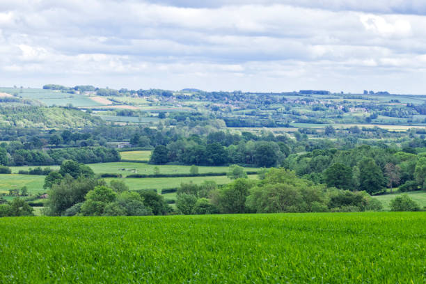 istock Cotswold green english hilly countryside 691286644