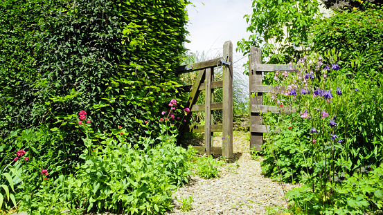 old wooden gate ajar in an English cottage flowering garden, on a stone footpath .