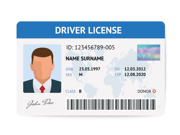 ilustrações de stock, clip art, desenhos animados e ícones de flat man driver license plastic card template, id card vector illustration - id card