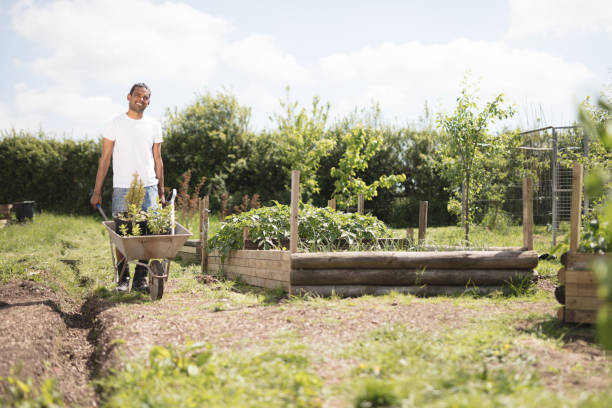 istock Young man pushing a wheelbarrow on the farm 691287446