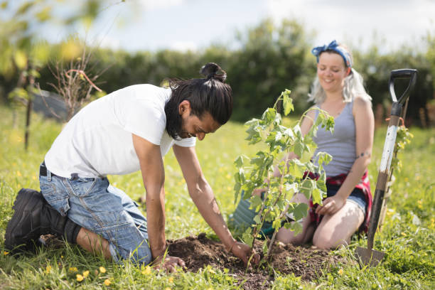 istock Young couple planting a tree 691287958