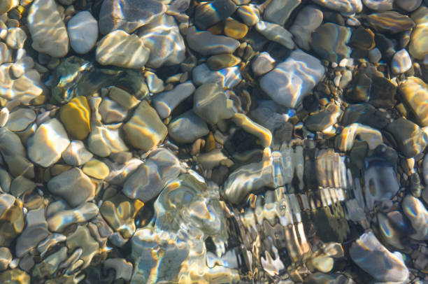 istock sea pebble beach with multicoloured stones, waves with foam 691293630