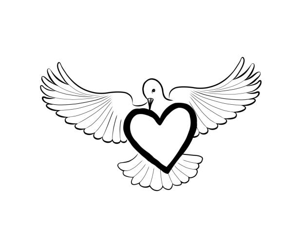 Love Heart Brought By Flying Bird Dove Valentine Day Greeting C Stock  Illustration - Download Image Now - iStock