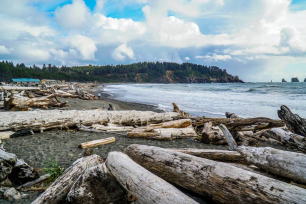 istock Awesome La Push Beach in Washington - FORKS - WASHINGTON 691302276