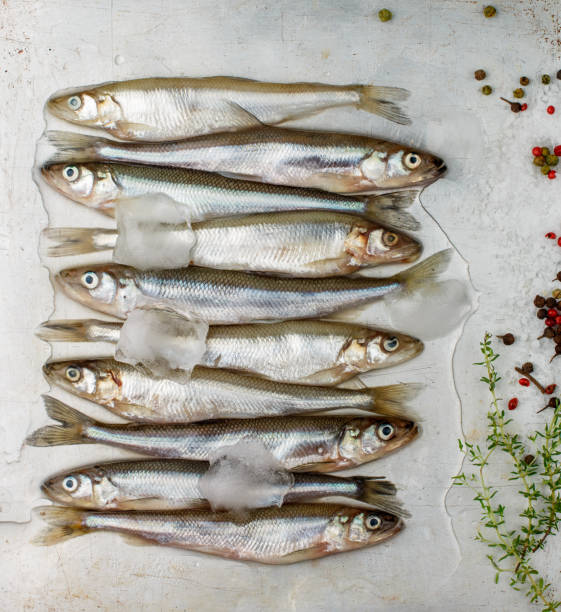 istock Fresh smelt for frying with spices. Small fish. Selective focus 691318410
