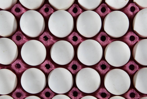 白鶏の卵のカートンで卵を 30 個の��箱は、白で隔離紙トレイに卵 - vitamin d meat food eggs ストックフォトと画像