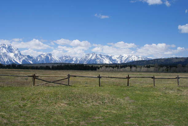istock Grand Teton NP - Early Summer 691334866