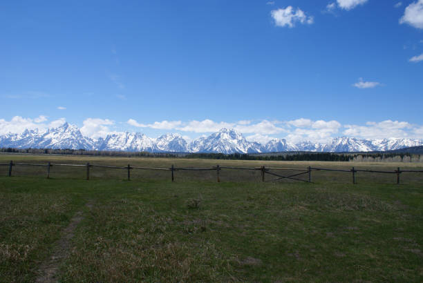 istock Grand Teton NP - Early Summer 691334892