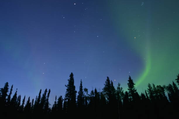 Aurora Skies The Northern Lights shining strong in the Northwest Territories. great slave lake stock pictures, royalty-free photos & images