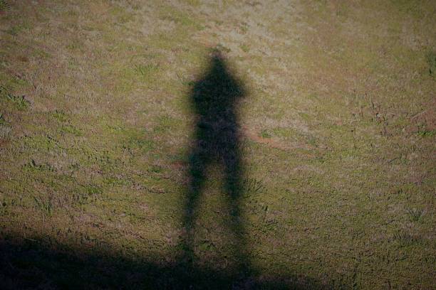 istock photographer shadow on green grss lawn 691338298