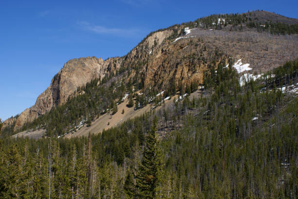 istock Yellowstone NP - Early Summer 691338956