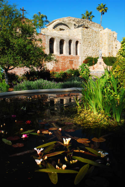 istock Koi Pond and lillies 691339056
