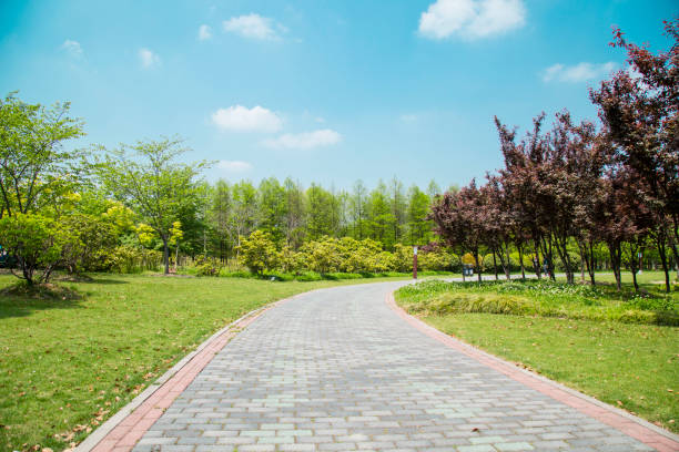 istock Stone Road in park, Shanghai,China 691341818