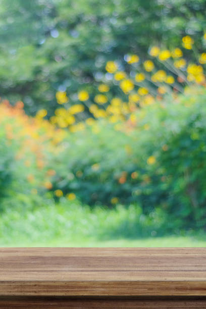 istock Empty wooden table over blurred tree with bokeh background, for product display montage 691346528