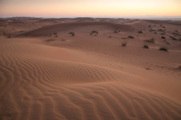 istock desert outside Dubai at sunrise 691356284