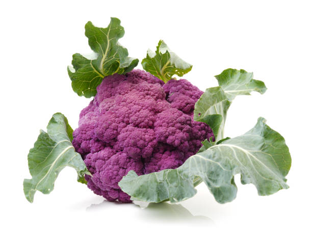 istock Isolated fresh lila cauliflower 691356368