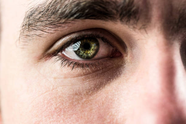 istock Close up of eye looking up 691359818