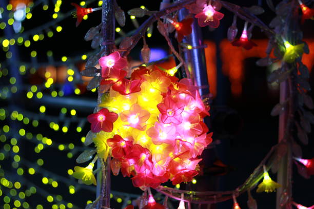 It is a landscape of Japanese winter illumination.