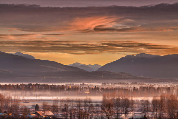 A cold foggy morning in Fraser Valley in Surrey in winter