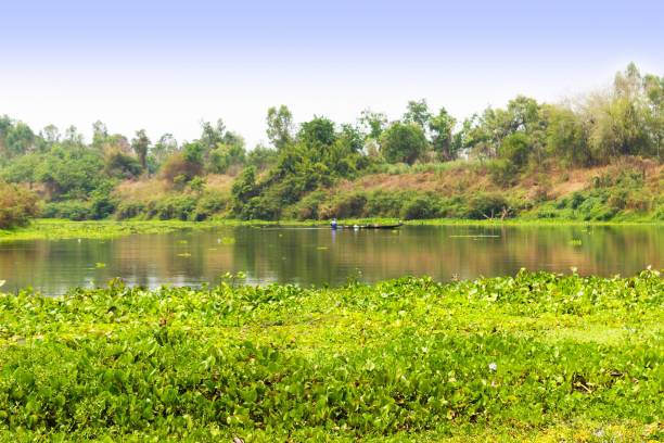 istock Calm river and green forest, nice peaceful landscape. 691367274