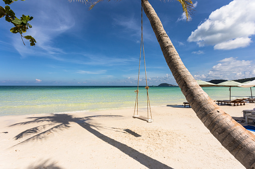 Swing attached to a palm tree in the idyllic Bai Sao beach in Phu Quoc island in Vietnam