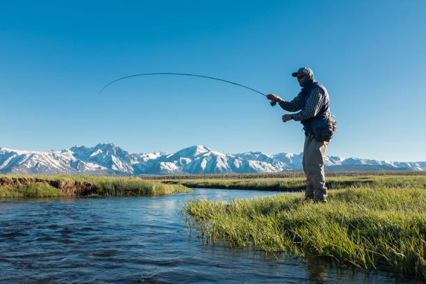 Fly Fishermen Along The Spring Mountain Stream Fly Fishermen Along The Spring Mountain Stream fighting a trout. owens river stock pictures, royalty-free photos & images