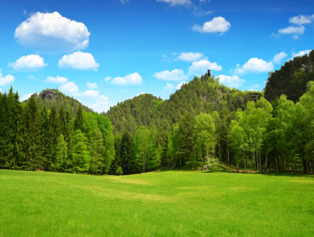 istock Beautiful spring landscape in Bohemian Switzerland. 691380578