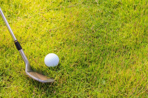 istock Golf club and ball in grass 691384108