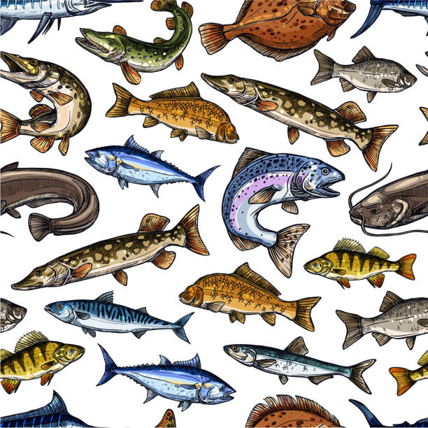 illustrazioni stock, clip art, cartoni animati e icone di tendenza di modello senza soluzione di continuità del vettore di sketch del pesce - catch of fish fish tuna sea bream