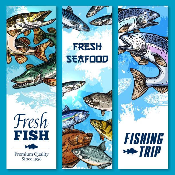 illustrazioni stock, clip art, cartoni animati e icone di tendenza di striscioni vettoriali di battuta di pesca e pesca - catch of fish fish tuna sea bream