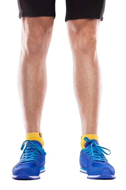 istock Man wearing sneakers isolated on white background 691406638