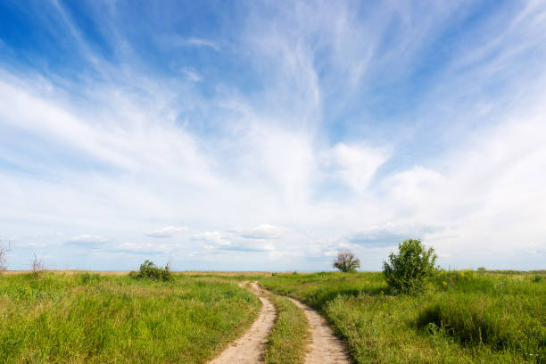 istock Summer landscape with country road 691411470