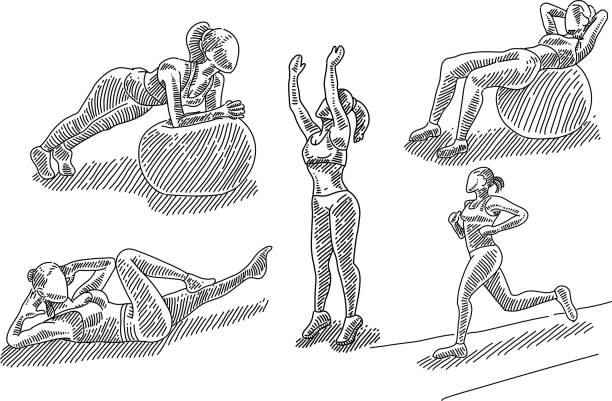 Exercising Woman Drawings Line drawings of Exercising Woman. Elements are grouped.contains eps10 and high resolution jpeg. gym drawings stock illustrations