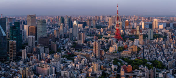 istock Tokyo city view 691417418