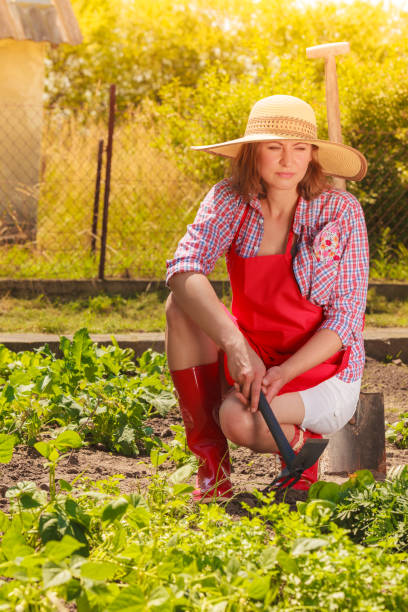istock woman with gardening tool working in garden 691417742