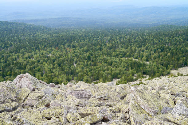 Scenic mountain landscape with big stones and trees