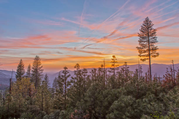 sunset over sierra nevada and yosemite national forest - sierra imagens e fotografias de stock