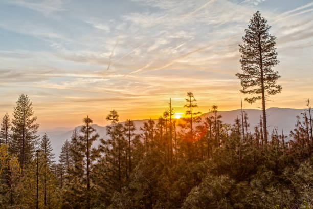 istock Sunset over Sierra Nevada and Yosemite National Forest 691418044