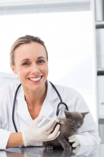 istock Female vet injecting a kitten 691418660