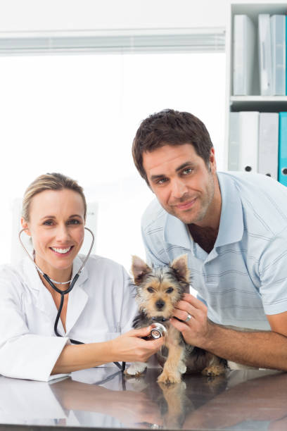 istock Veterinarian examining puppy with man 691418888