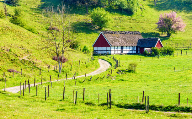 Havang Nature Reserve: Environmental documentary. Old barn, now turned into museum, in late afternoon sunshine. Country road winding toward the building.