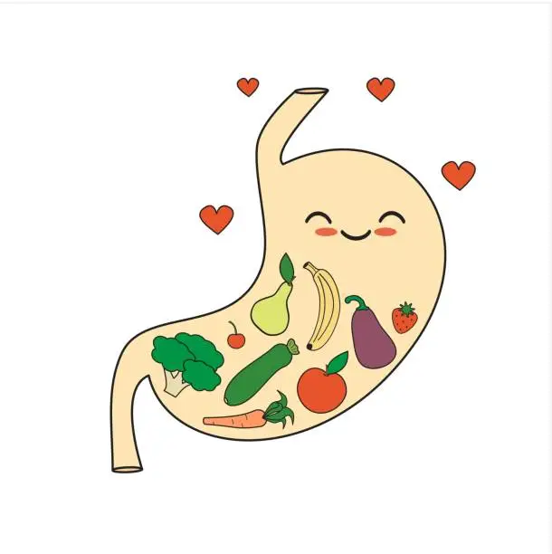 Vector illustration of cute cartoon happy healthy stomach with vegetables and fruits concept vector illustration