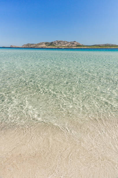 istock Stintino La Pelosa 691423784